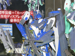 P1000322a.jpg